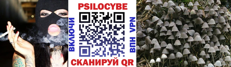 Галлюциногенные грибы Psilocybe это наркотические препараты Елабуга