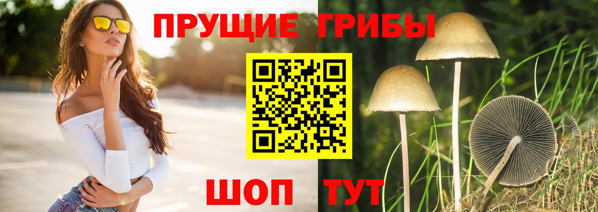 Галлюциногенные грибы мицелий  Вход с VPN  Елабуга 